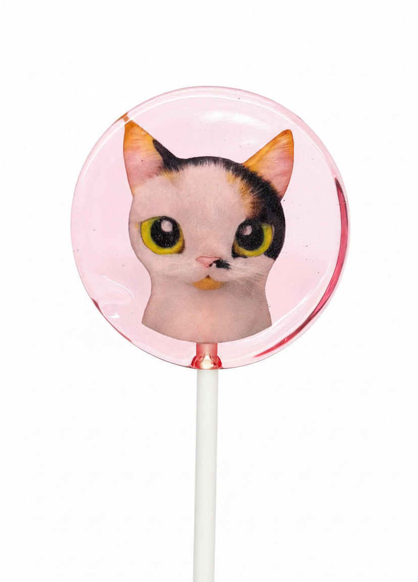 Sugar-Free Lollipop - Cat